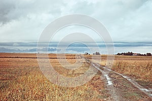 Countryside at autmn