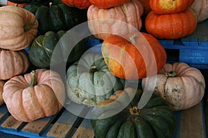 Countryside Autumn Fall Pumkins Colours, Farm Wooden Pallet, Blue Painting. Halloween Harvest. Rural Agriculture