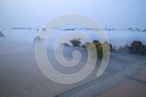 Countryside in Autumn Scenario with Fog
