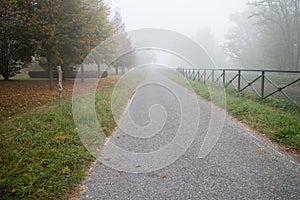 Countryside in Autumn Scenario with Fog
