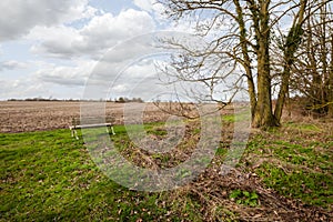 Countryside bench