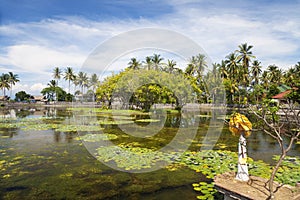 Countryside at Candidasa, Bali, Indonesia photo