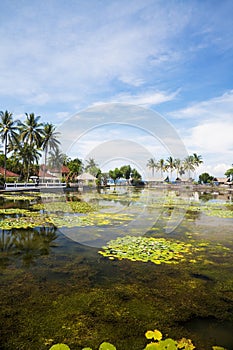 Countryside at Candidasa, Bali, Indonesia photo