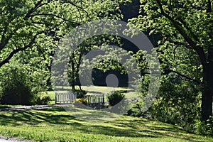 Countryside car bridge surrounded by greenery