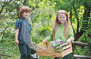 Countryside childhood. Happy kids work, plant and water in green spring garden. Eco garden workers. Cute boy and girl