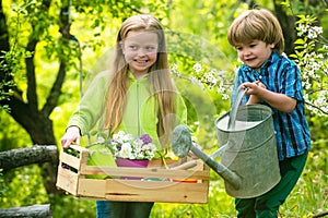 Countryside childhood. Smiling toddler boy and girl gardening and having fun in spring yard. Pretty cute kids working