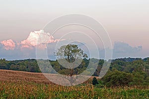 Countryside and clouds at dusk