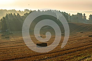 Countryside colorful foggy landscape at sunrise. Harvested agricultural wheat field with straw bales and foggy forest behind it