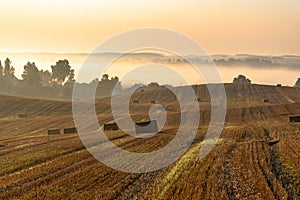 Countryside colorful foggy landscape at sunrise. Harvested agricultural wheat field with straw bales and foggy rural dale behind