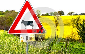 Countryside cow sign