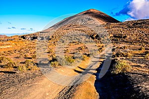 Countryside Desert Dirt Road