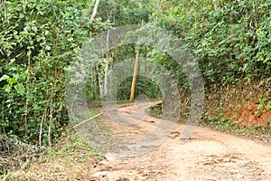 Countryside dirt road