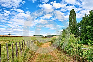 A countryside dirt road leading to agriculture fields or farm pasture in remote area location with blue sky and copy