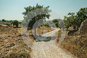 Countryside dirt road passing through rocky terrain