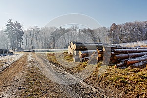 Countryside dirt road with woods fields and trees near village