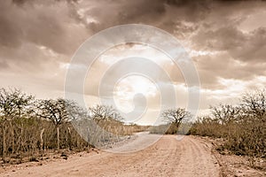 Countryside Dry Road landscape at Cariri Paraiba Brazil photo