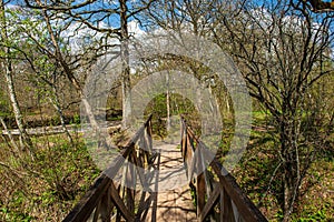 countryside dust road in forest
