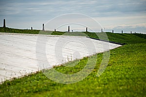 countryside dust road in forest