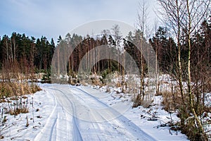 countryside dust road in forest