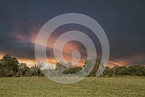 Countryside dutch meadow landscape with grass under scenic sunset sunrise sky. Panorama of dramatic landscape