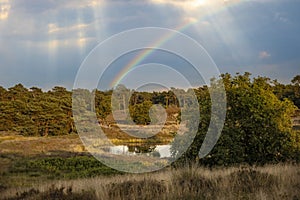 Countryside dutch meadow landscape with grass under scenic sunset sunrise sky. Panorama of dramatic landscape