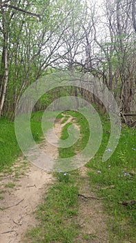 countryside  easy living