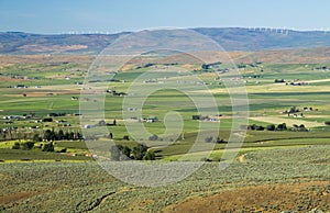 Countryside Ellensburg Fields