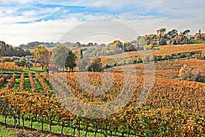 Countryside of Emilia Romagna, Italy