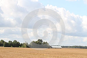 Countryside farmside view of agriculture field.