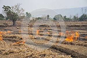 Countryside field with fire made with dry rice straw in Gia Lai, central highland of Vietnam