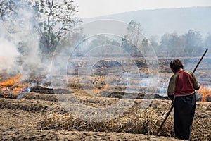 Countryside field with fire made with dry rice straw with woman farmer working on field in Gia Lai, central highland of Vietnam