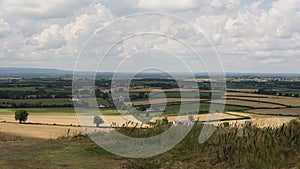 Countryside, field, harvesting, green fields, sheaves of straw fields in Ireland, Forest