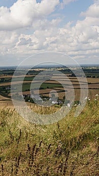 Countryside, field, harvesting, green fields, sheaves of straw fields in Ireland, Forest