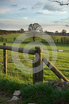 Countryside field landscape