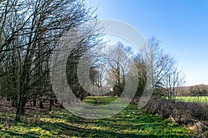 Countryside footpaths on a warm winter sunny day in February, Hertfordshire, UK