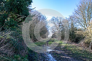 Countryside footpaths on a warm winter sunny day in February, Hertfordshire, UK