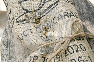Fresh Green Coffee Beans, Old Jute Bag, Cord, Wooden Table, Raw Grains, Craftsmanship, Exportation, Harvest photo