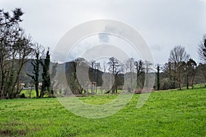 The countryside in Galicia near a village called LedoÃÂ±o on a ra photo