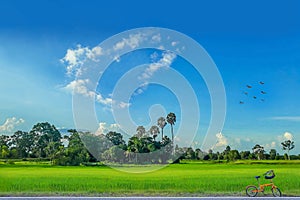 The countryside, green paddy rice field with beautiful sky cloud in upcountry Thailand