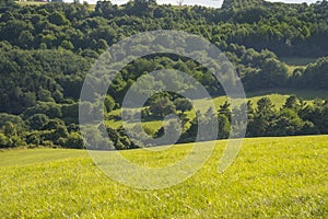 Countryside at high noon. Rural scenery with trees and fields on the rolling hills at the foot of the ridge