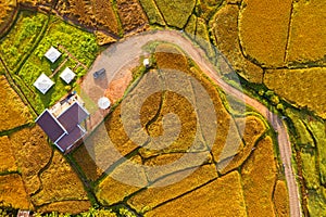 Countryside homestay in rice farm in Pua District