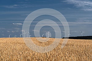 COUNTRYSIDE ON A HOT AND SUNNY DAY