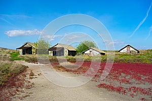 Countryside houses in the field