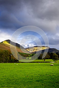 Countryside in Lake District