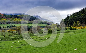 Countryside in Lake District