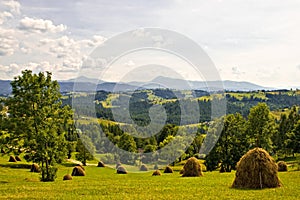 Countryside landscape