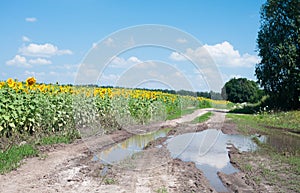 Countryside landscape