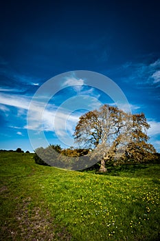 Countryside landscape