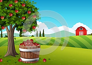 Countryside landscape with apple tree