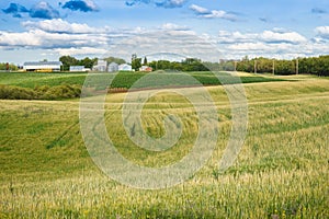 Countryside landscape with barley and potato fields and farm yar